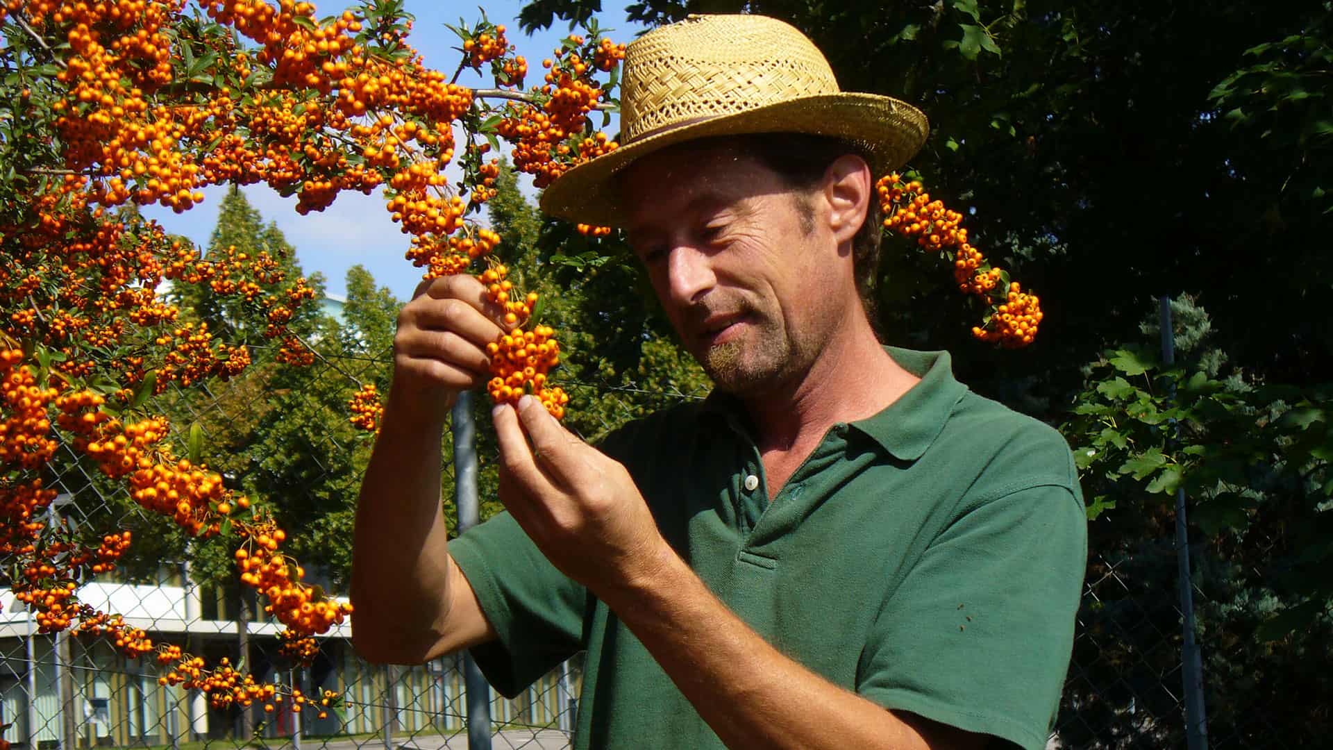 Hartmut Schindhelm - selbstständiger Gartenbaumeister